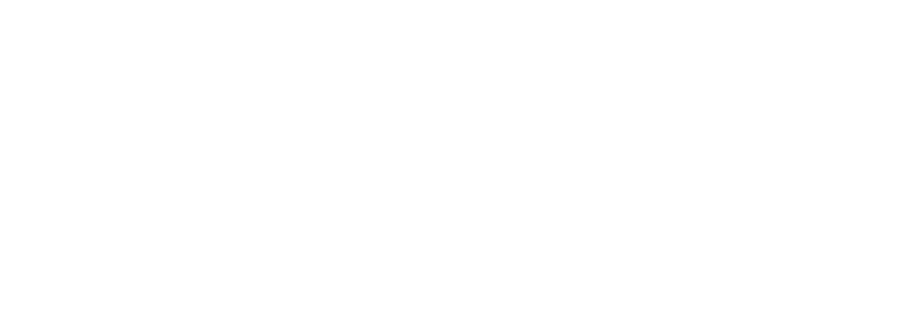 Universidad del Desarrollo